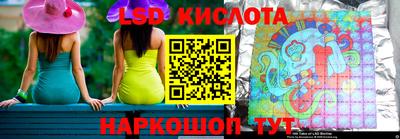гидра Брянск
