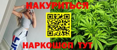 гидра Брянск